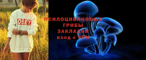 соль ск Алексеевка