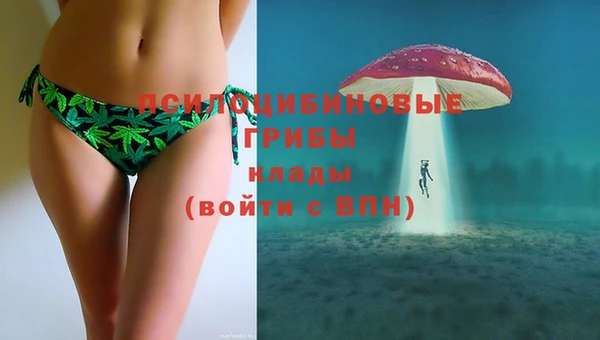 соль курить ск Алзамай