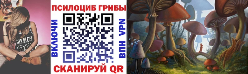 кракен онион  Евпатория  Псилоцибиновые грибы Cubensis 